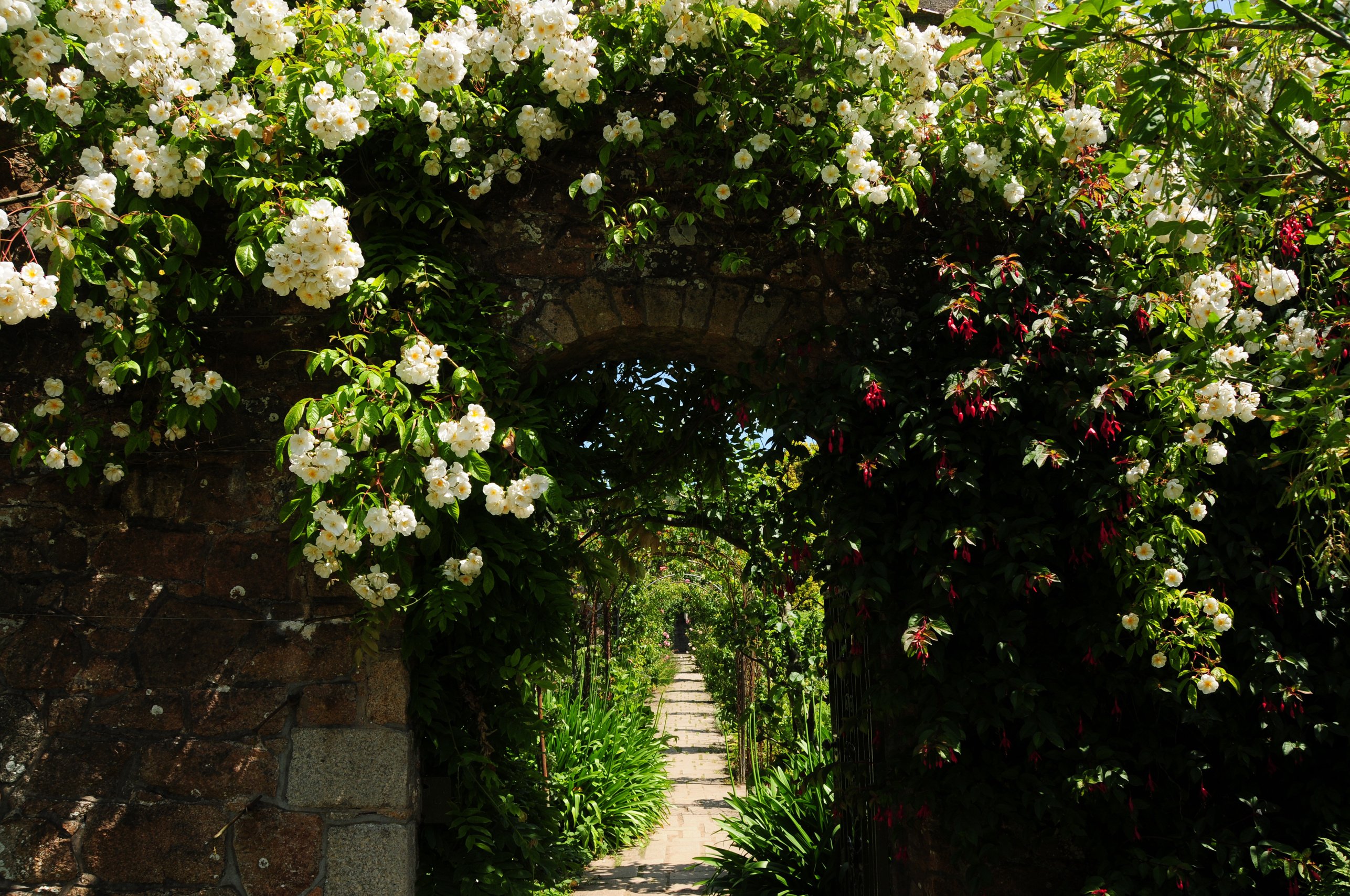 Secret garden ,U.K.